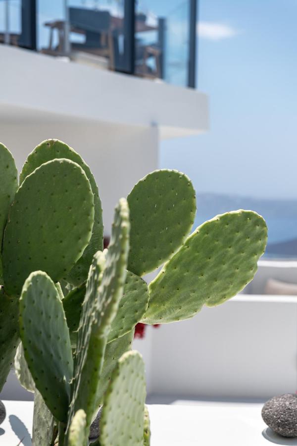 Akra Suites & Spa Imerovigli  Luaran gambar